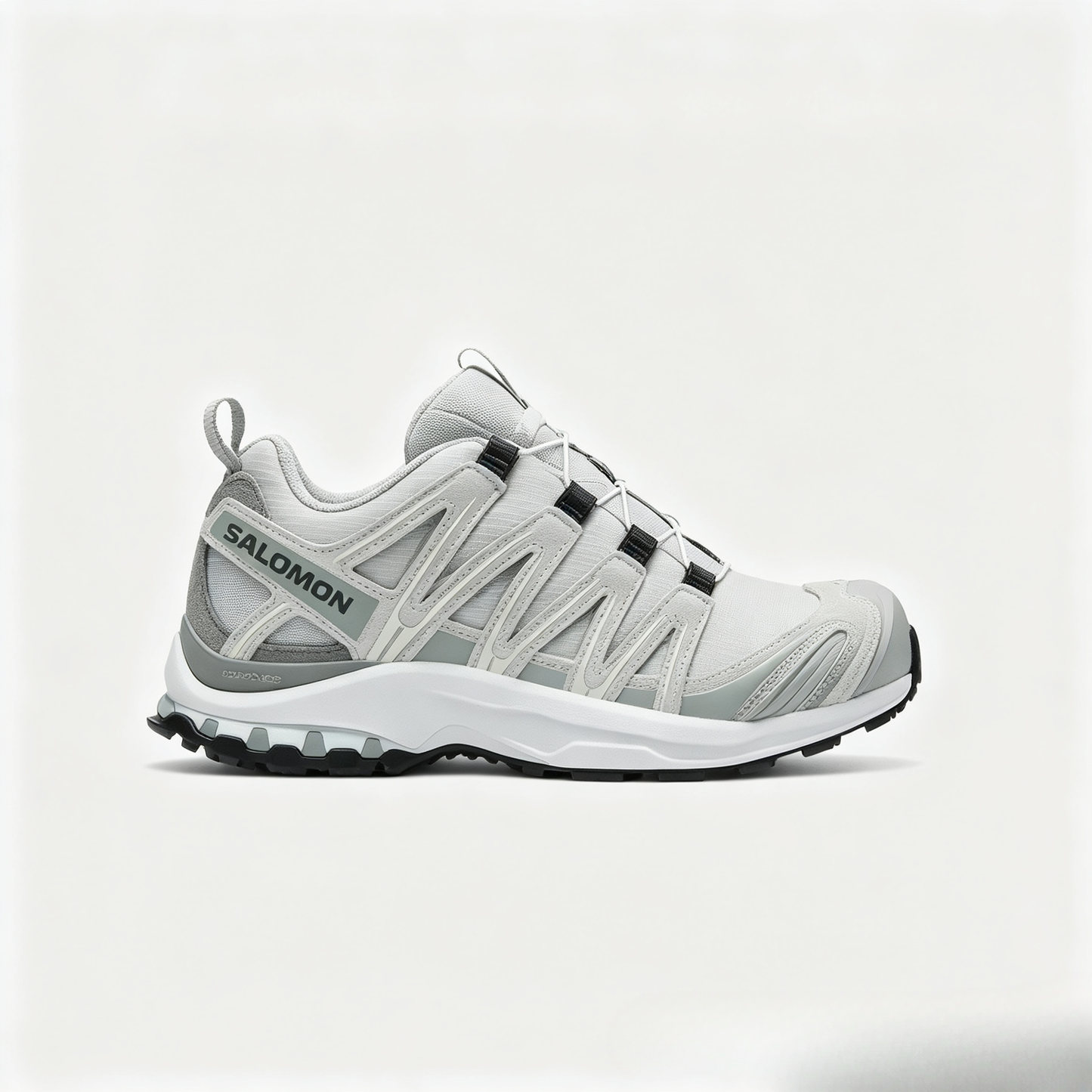 Salomon XA PRO 3D GTX