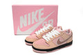 Nike SB Dunk Low – Classic Streetwear Sneakers (EU 36–45)