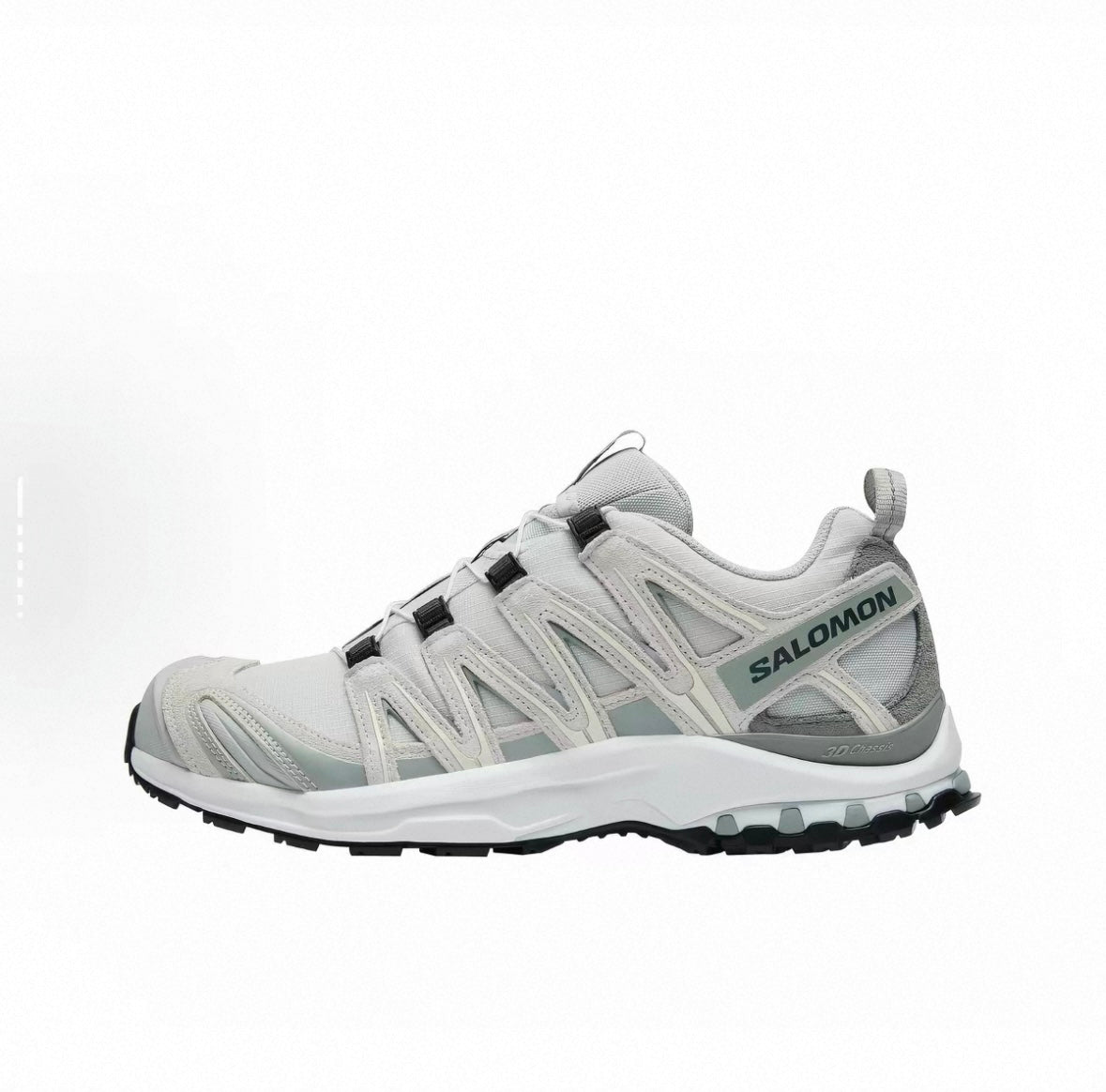 Salomon XA PRO 3D GTX