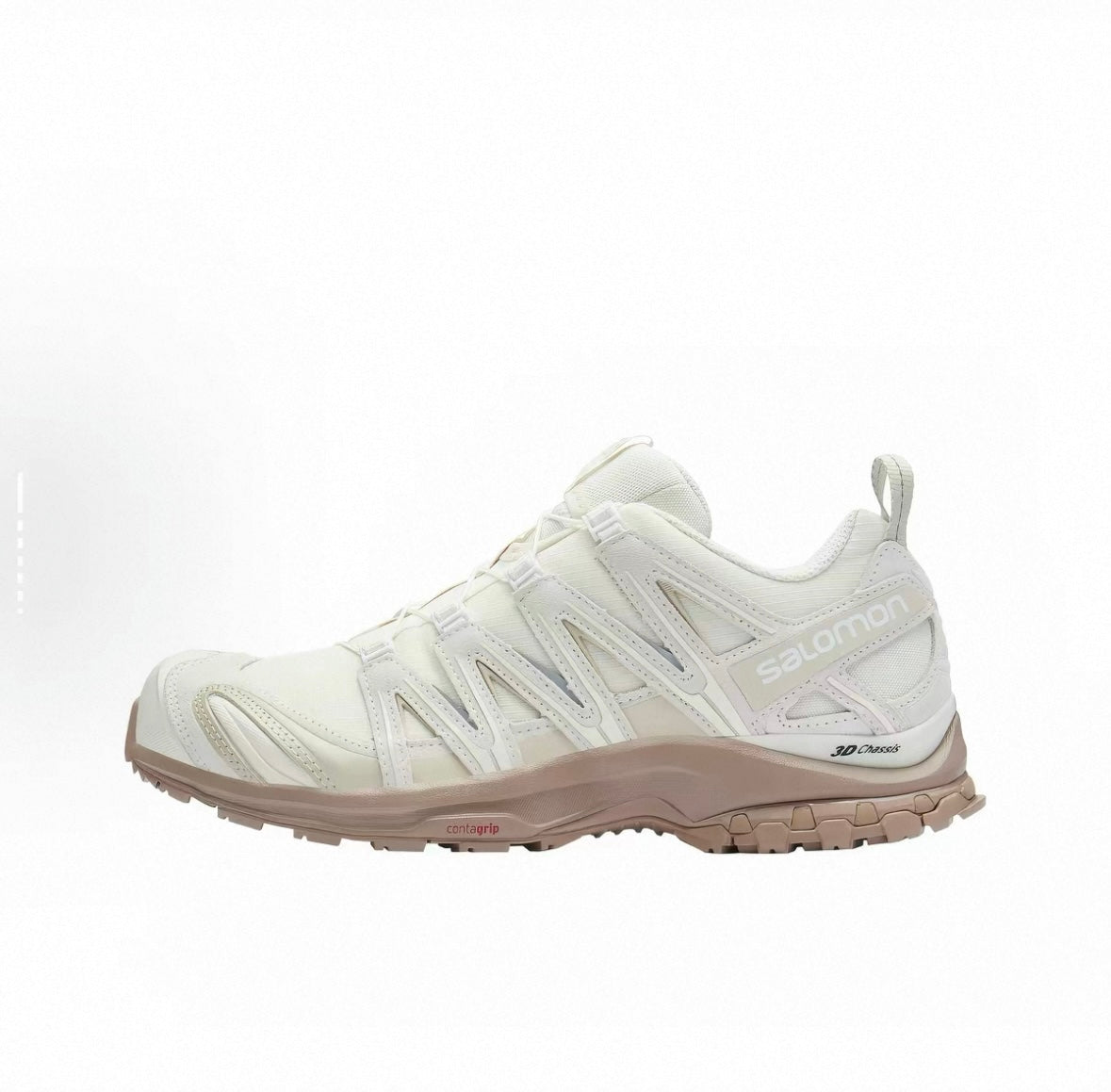 Salomon XA PRO 3D GTX