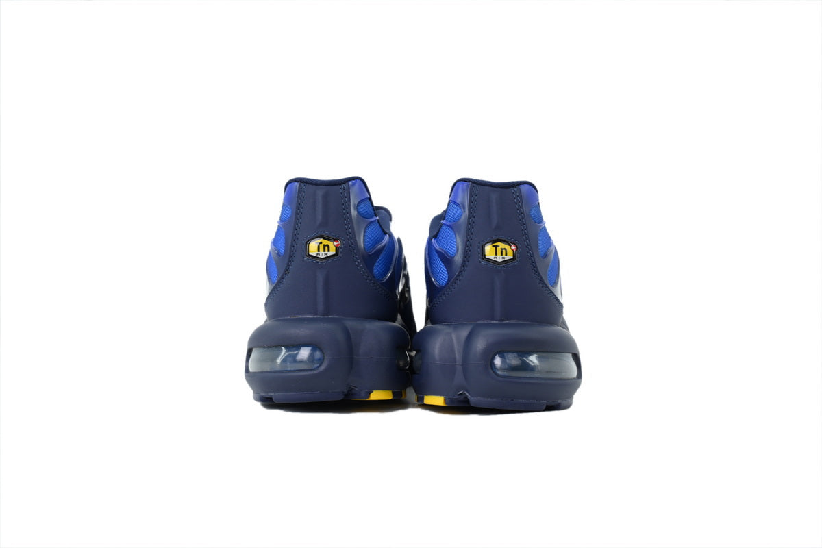 Nike Air Max Plus Sneakers | EU 39–47.5