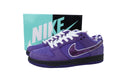 Nike SB Dunk Low – Classic Streetwear Sneakers (EU 36–45)