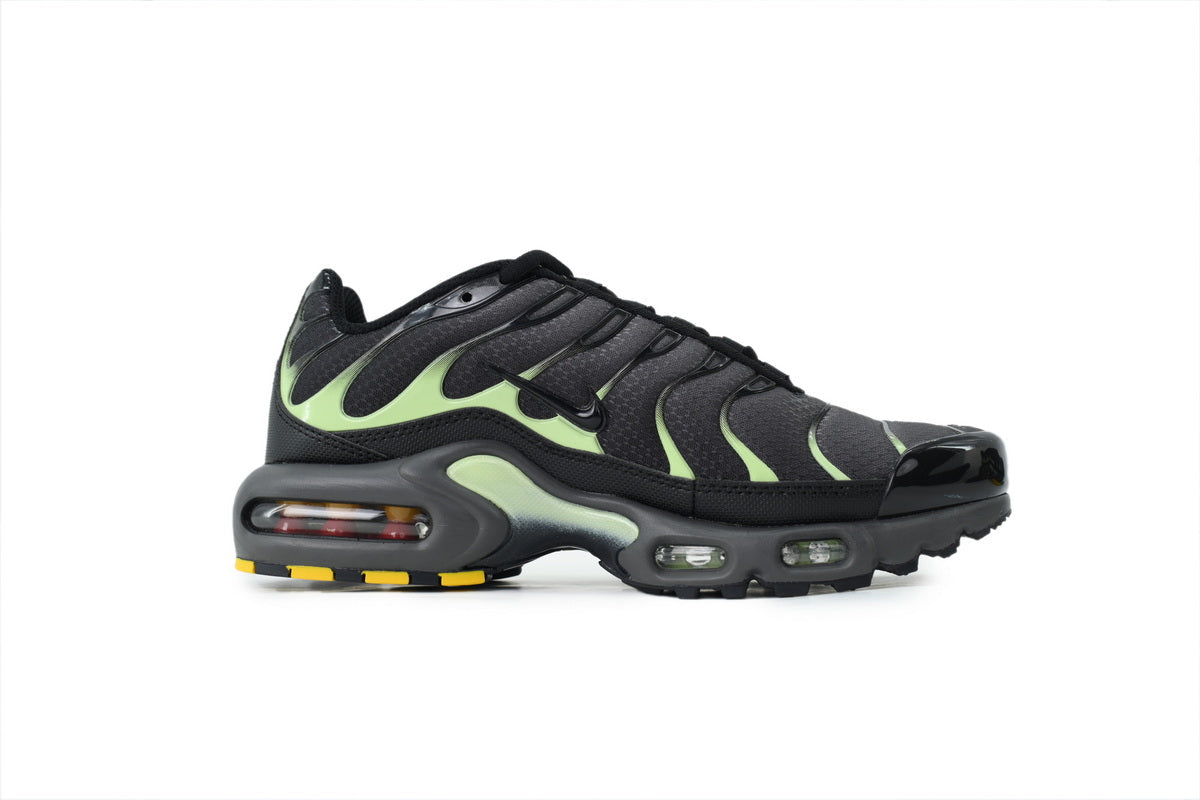 Nike Air Max Plus Sneakers | EU 39–47.5