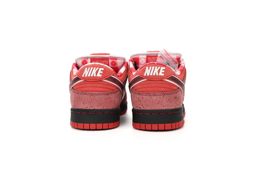 Nike SB Dunk Low – Classic Streetwear Sneakers (EU 36–45)