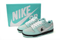 Nike SB Dunk Low – Classic Streetwear Sneakers (EU 36–45)