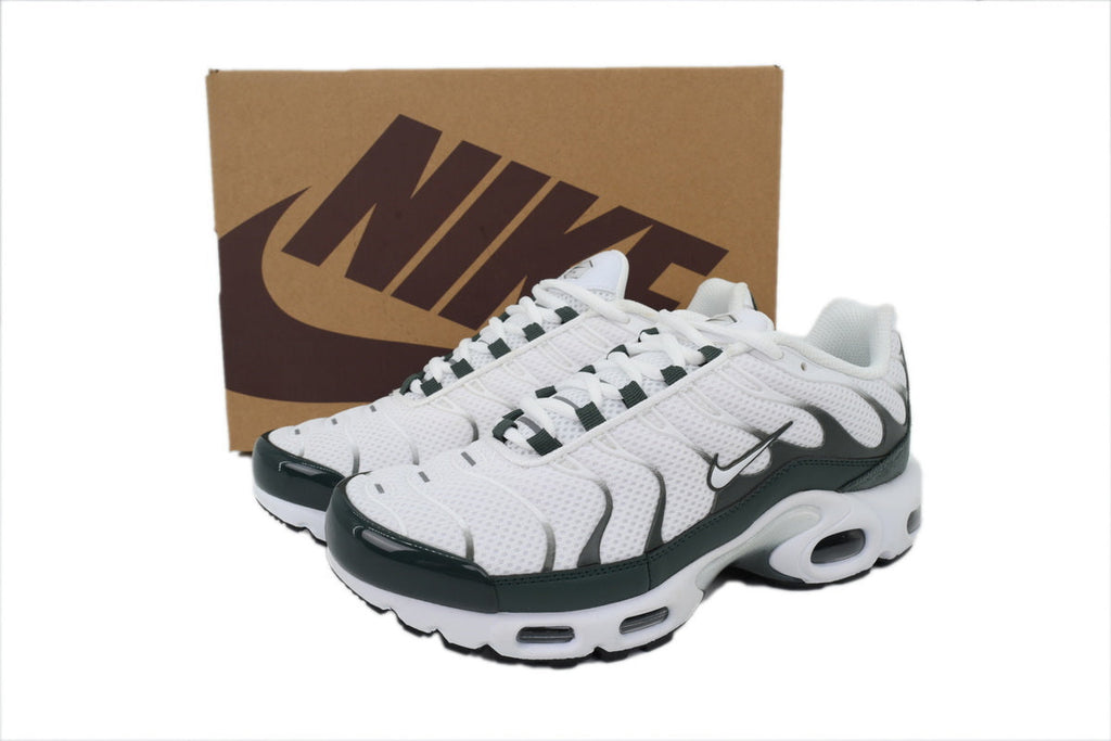 Nike Air Max Plus Sneakers | EU 39–47.5