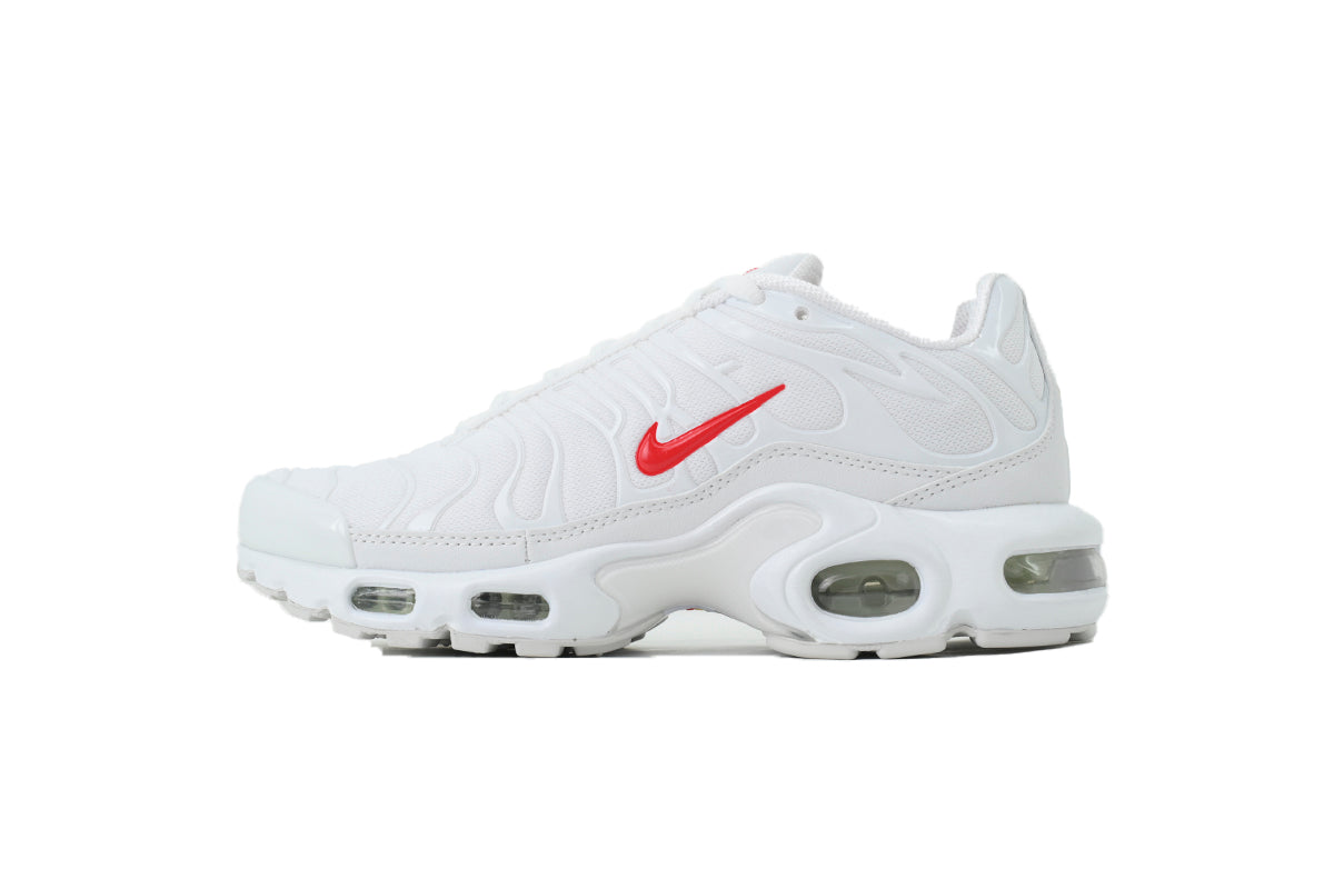 Nike Air Max Plus Sneakers | EU 39–47.5