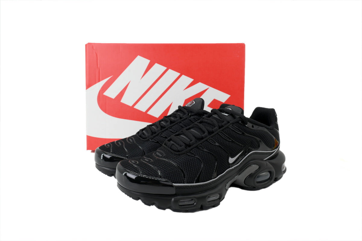 Nike Air Max Plus Sneakers | EU 39–47.5