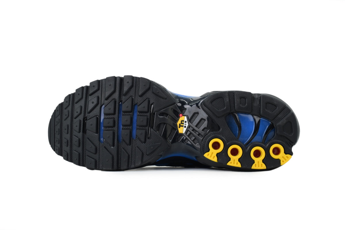 Nike Air Max Plus Sneakers | EU 39–47.5