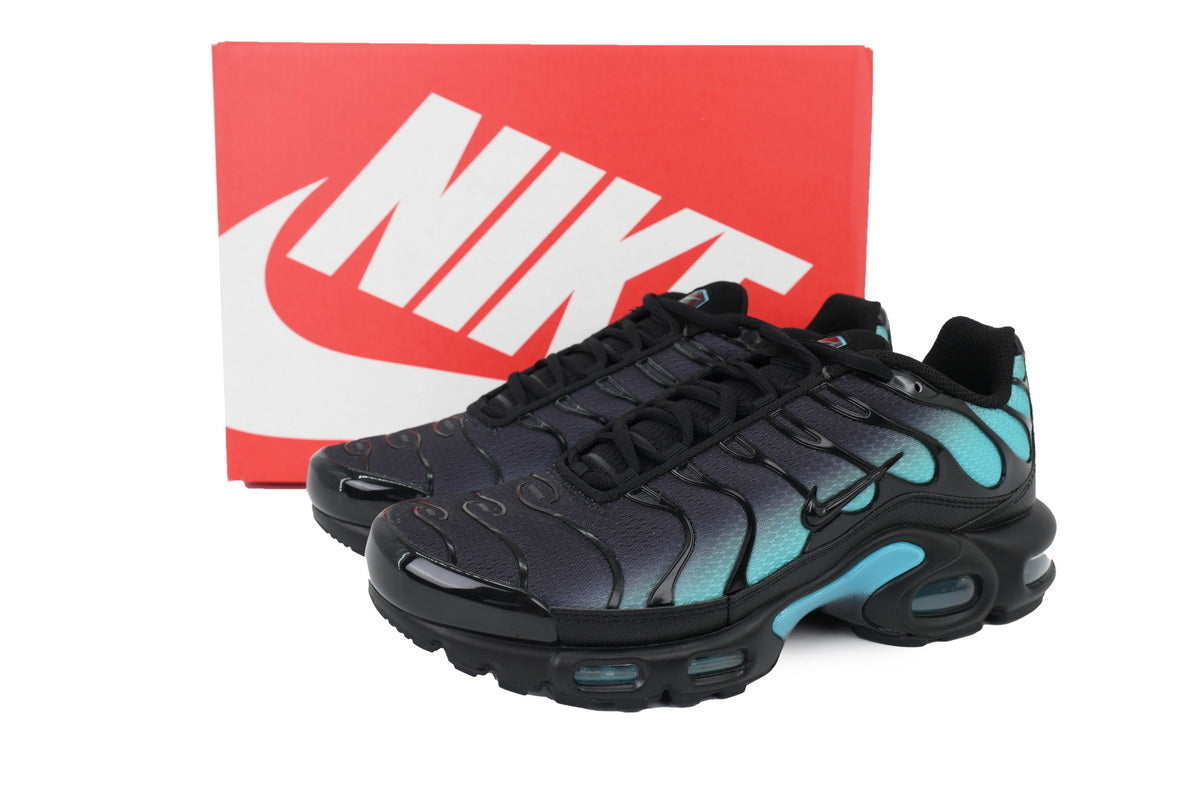 Nike Air Max Plus Sneakers | EU 39–47.5