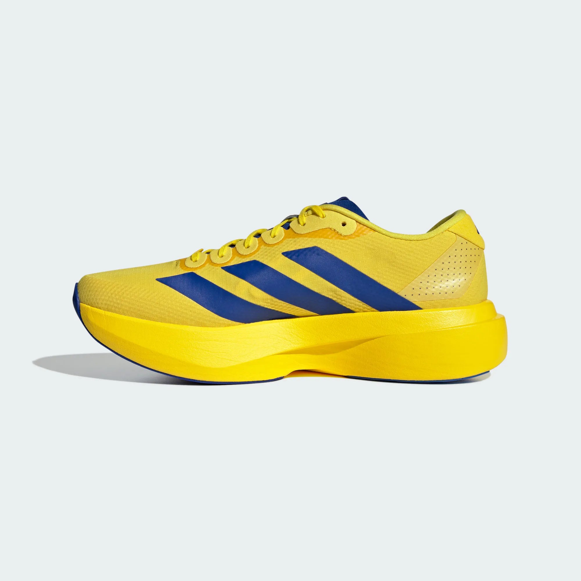 Adidas Adizero Evo SL Yellow / Royal Blue