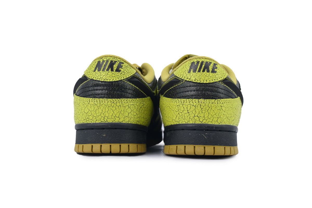 Nike SB Dunk Low – Classic Streetwear Sneakers (EU 36–45)