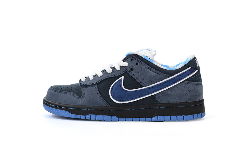 Nike SB Dunk Low – Classic Streetwear Sneakers (EU 36–45)
