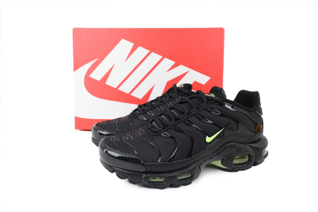 Nike Air Max Plus Sneakers | EU 39–47.5