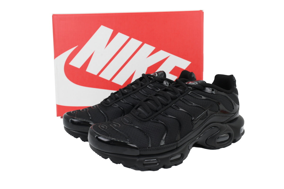 Nike Air Max Plus Sneakers | EU 39–47.5