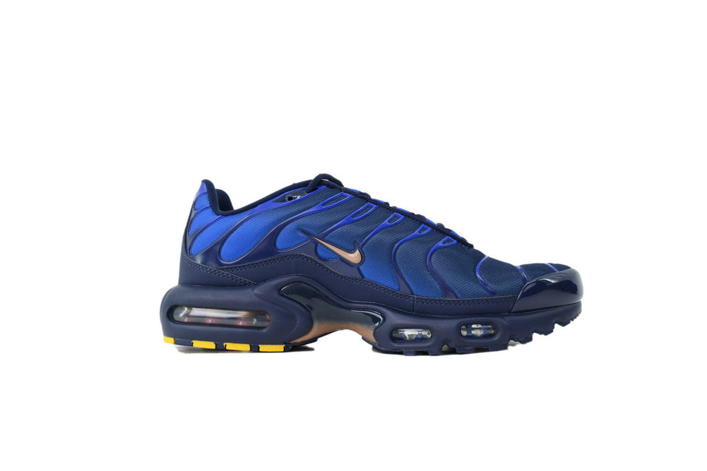 Nike Air Max Plus Sneakers | EU 39–47.5